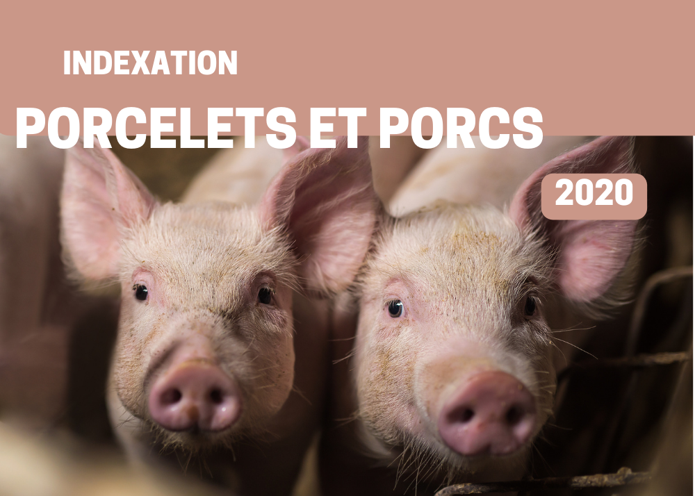 Études de coûts de production : INDEXATION 2020 - PORCELETS ET PORCS